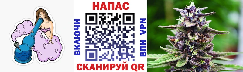 Где купить наркоту Енисейск Псилоцибиновые грибы А ПВП Мефедрон Конопля ГАШ