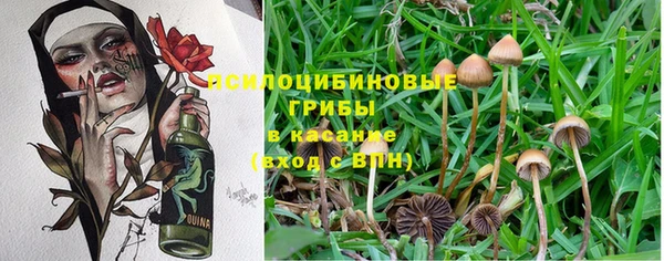 бошки Арсеньев
