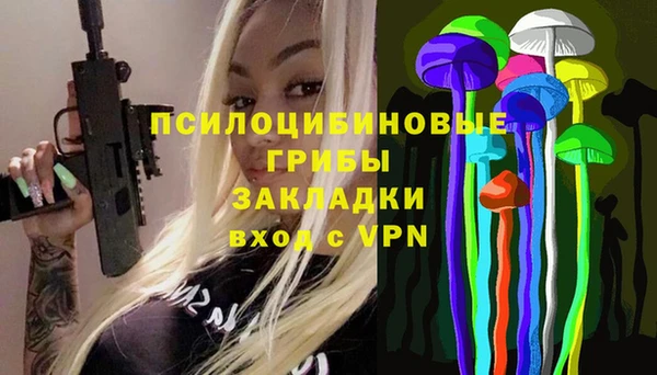 бошки Арсеньев