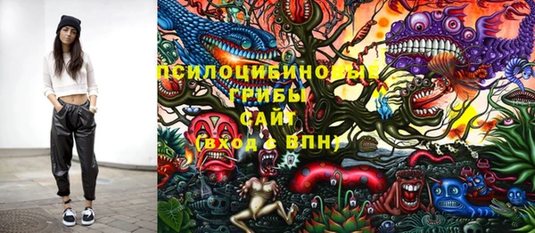 гашик Армянск